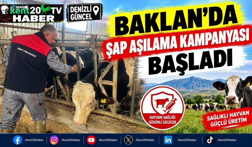 Baklan'da şap aşılama kampanyası başladı