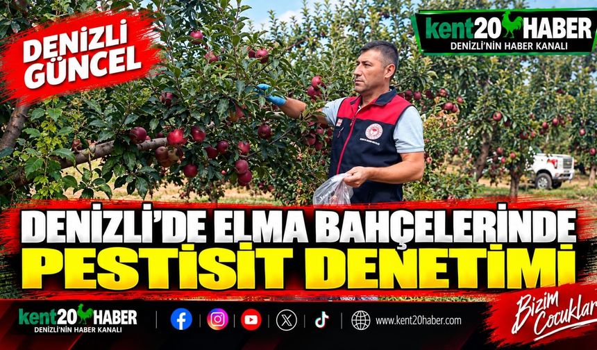 Denizli'de Elma Bahçelerinde Pestisit Denetimi