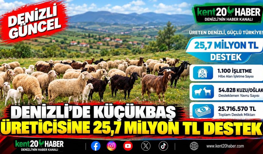 Denizli’de küçükbaş üreticisine 25,7 milyon TL destek