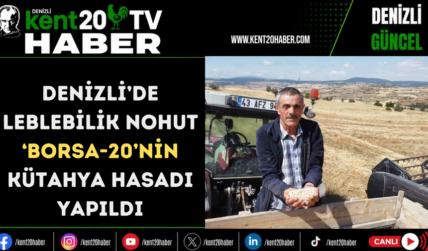 Denizli’de leblebilik nohut ‘Borsa-20’nin Kütahya hasadı yapıldı