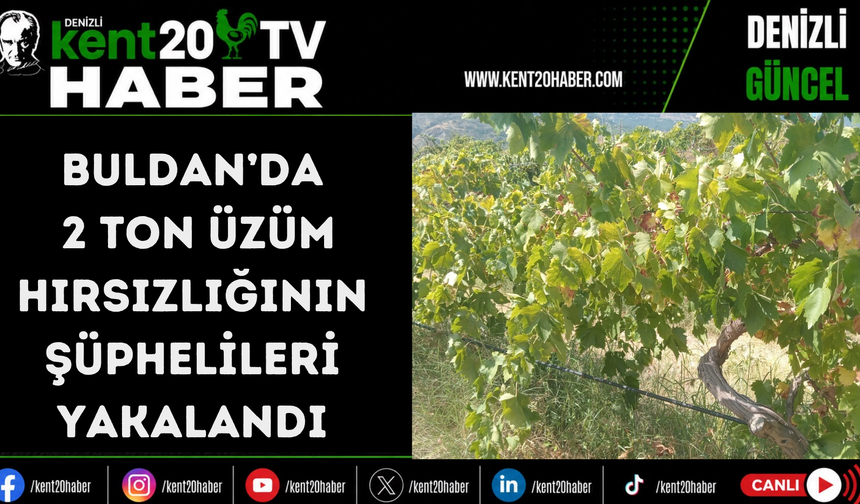 Buldan’da 2 ton üzüm hırsızlığının şüphelileri yakalandı