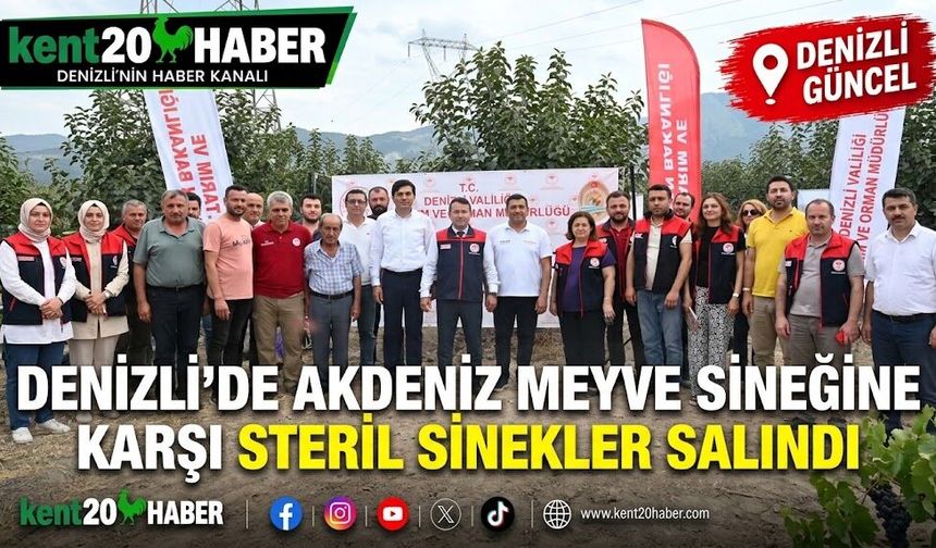Denizli'de Akdeniz meyve sineğine karşı steril sinekler salındı