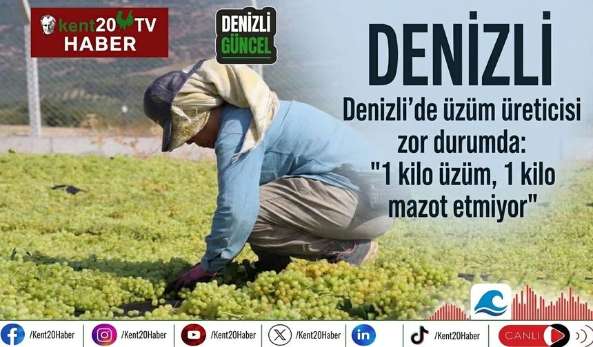 Denizli’de üzüm üreticisi zor durumda: "1 kilo üzüm, 1 kilo mazot etmiyor"
