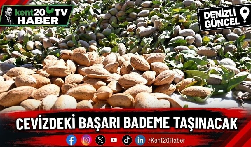 Cevizdeki başarı bademe taşınacak