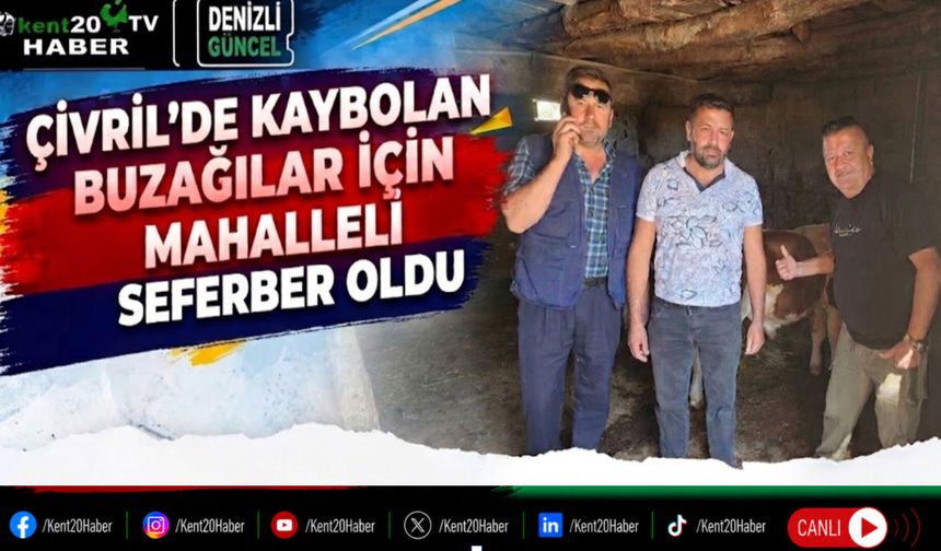 Çivril'de kaybolan buzağılar için mahalleli seferber oldu