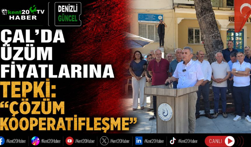 Çal’da üzüm fiyatlarına tepki: "Çözüm kooperatifleşme