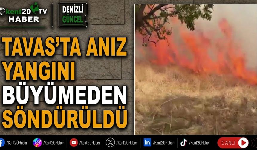 Tavas’ta anız yangını büyümeden söndürüldü