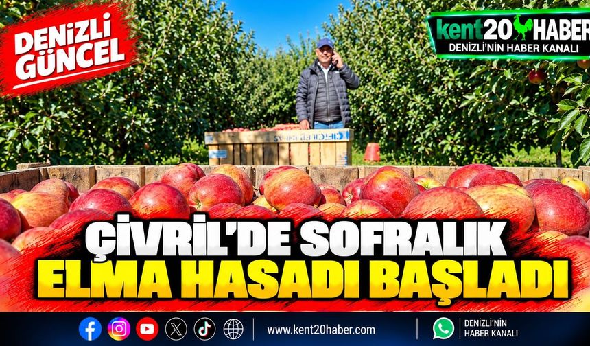 ÇİVRİL'DE SOFRALIK ELMA HASADI BAŞLADI