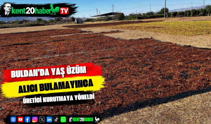 Buldan’da yaş üzüm alıcı bulamayınca üretici kurutmaya yöneldi