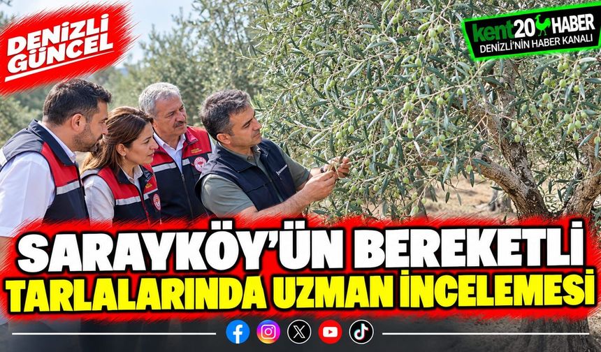Sarayköy’ün bereketli tarlalarında uzman incelemesi