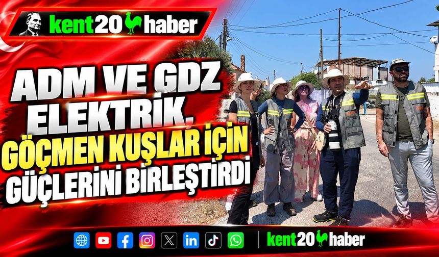 Adm ve Gdz Elektrik, göçmen kuşlar için güçlerini birleştirdi
