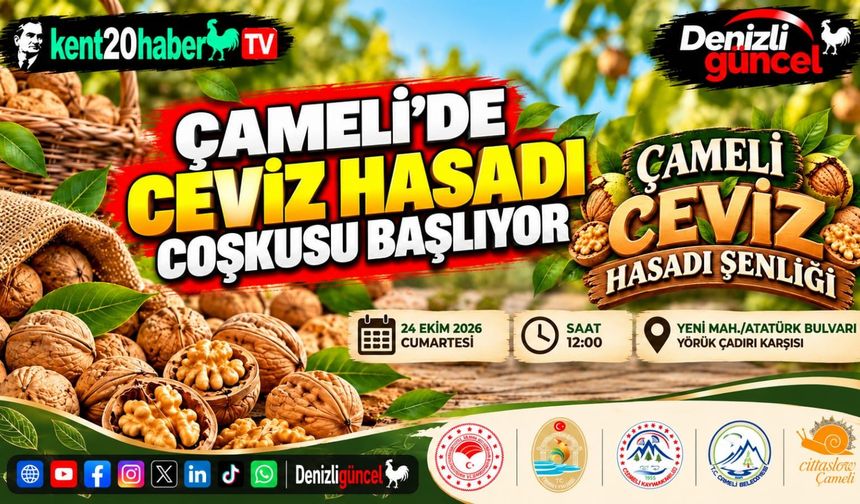 Çameli'de ceviz hasadı coşkusu başlıyor