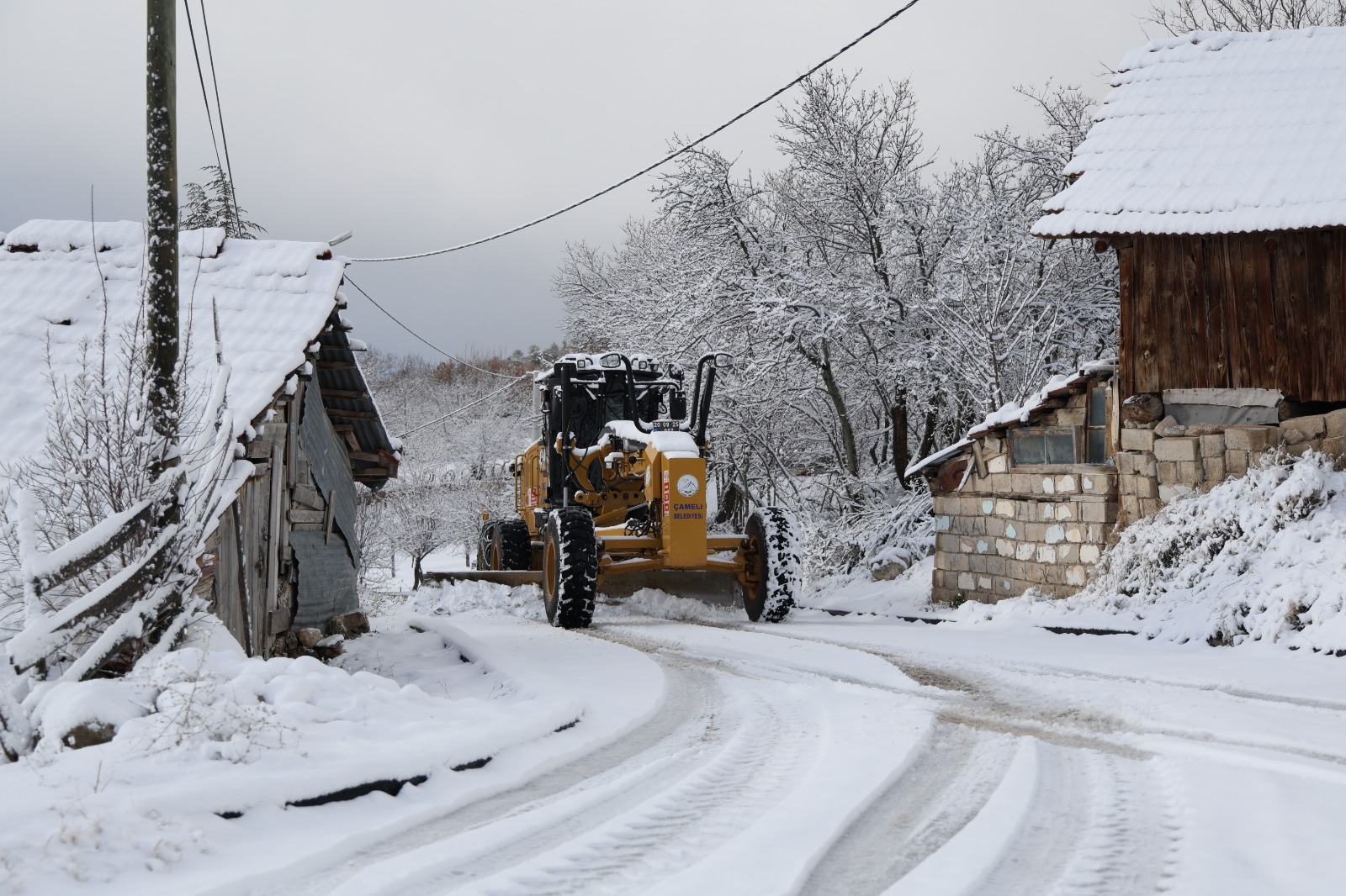 I M G 20260112 W A0000