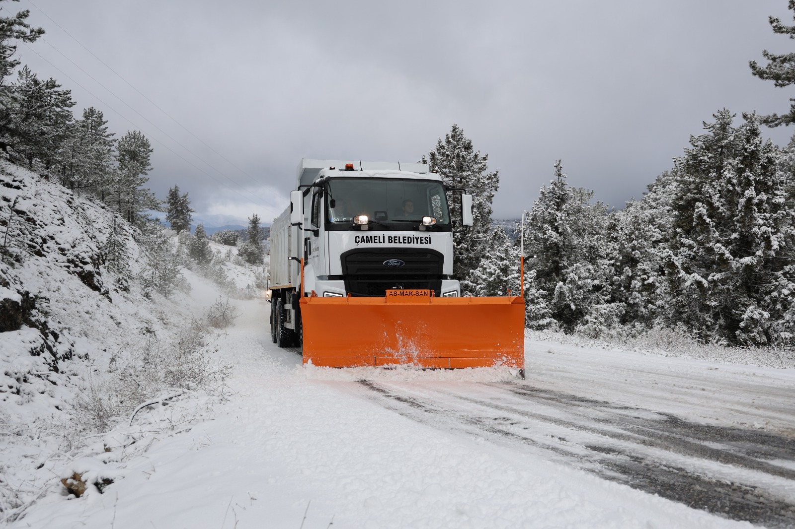 I M G 20260112 W A0003