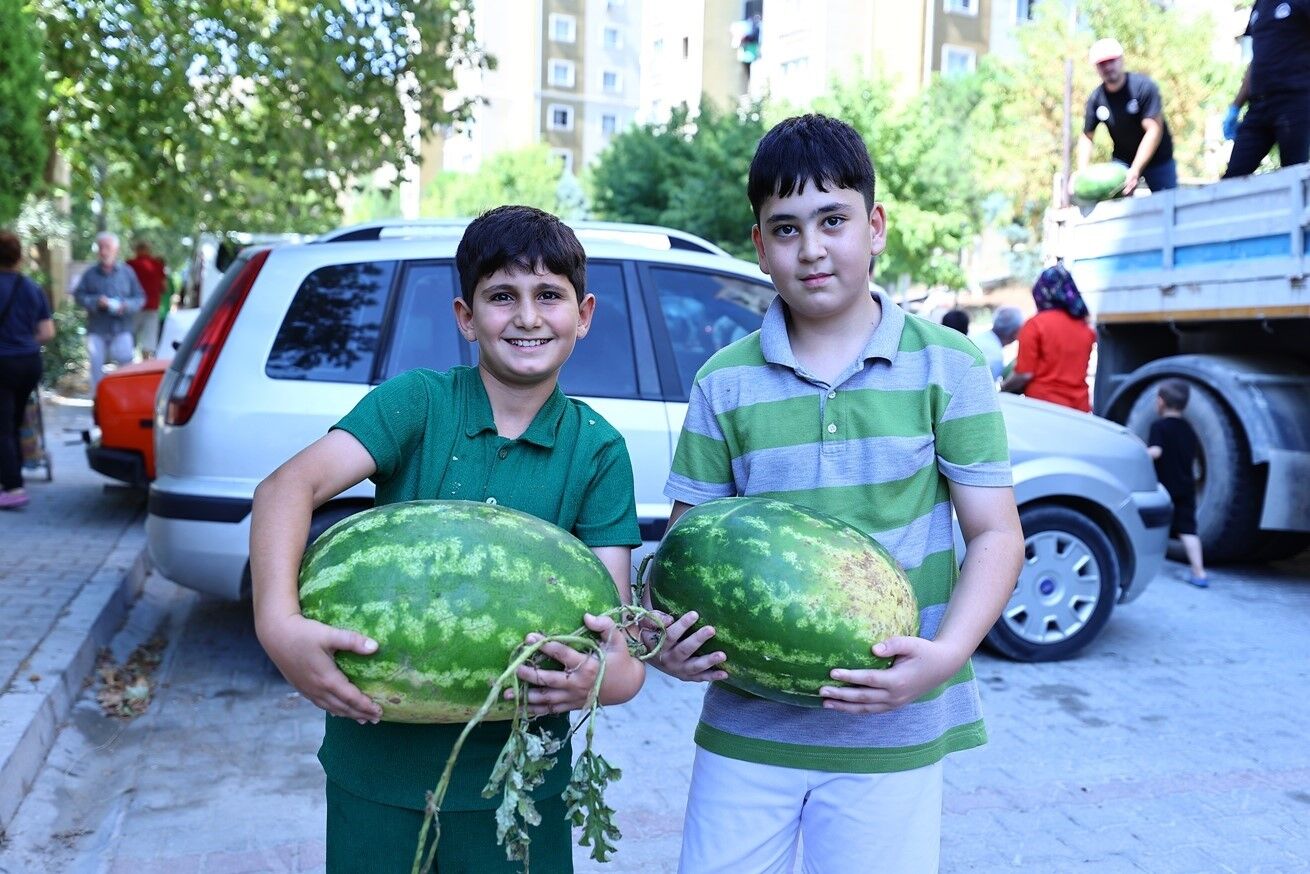 20260910Aw785621